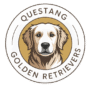 Questan Golden Retrievers