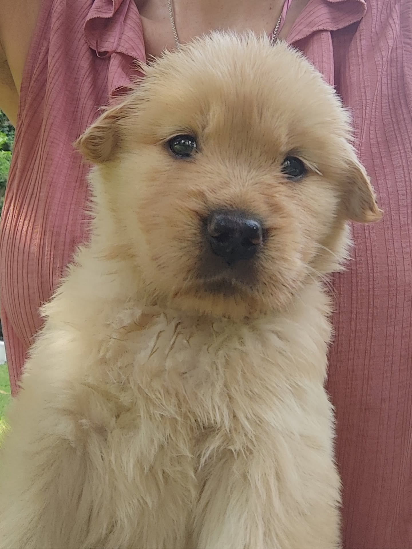 manuelacontento-20251004-0002