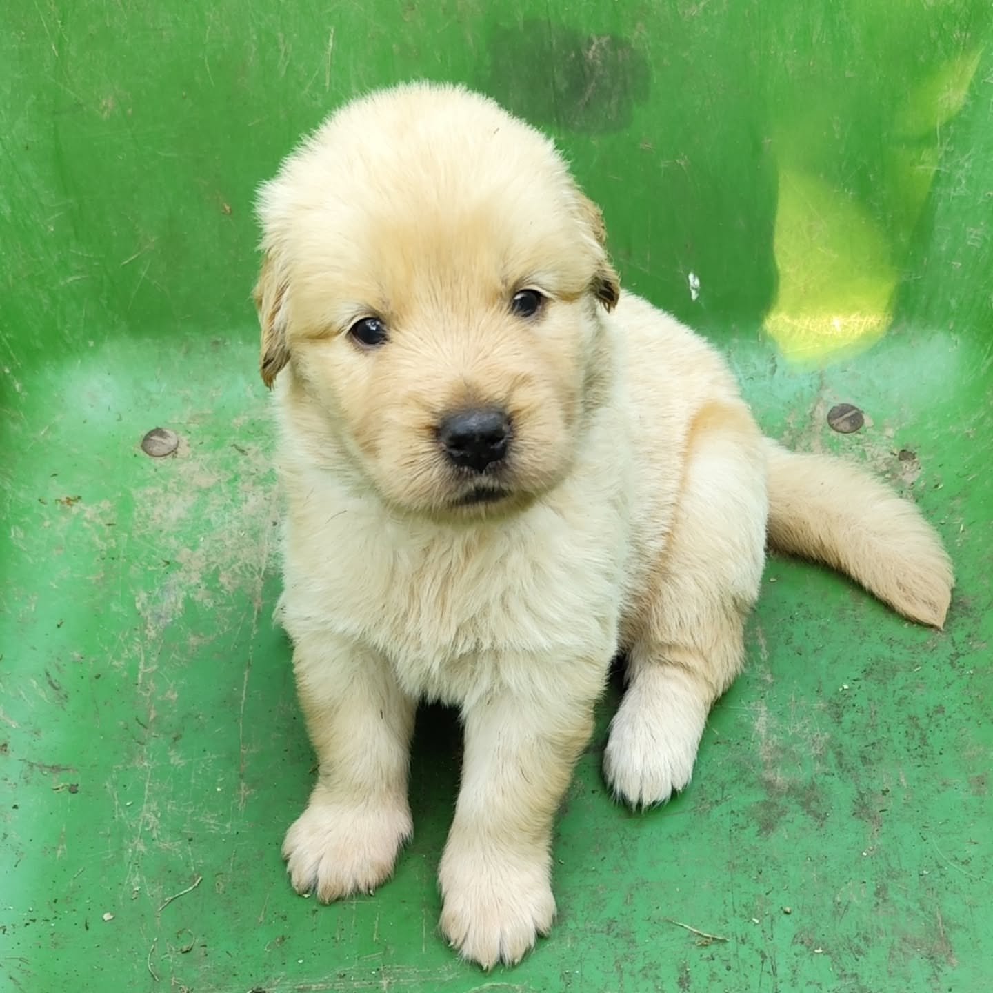 manuelacontento-20251004-0008