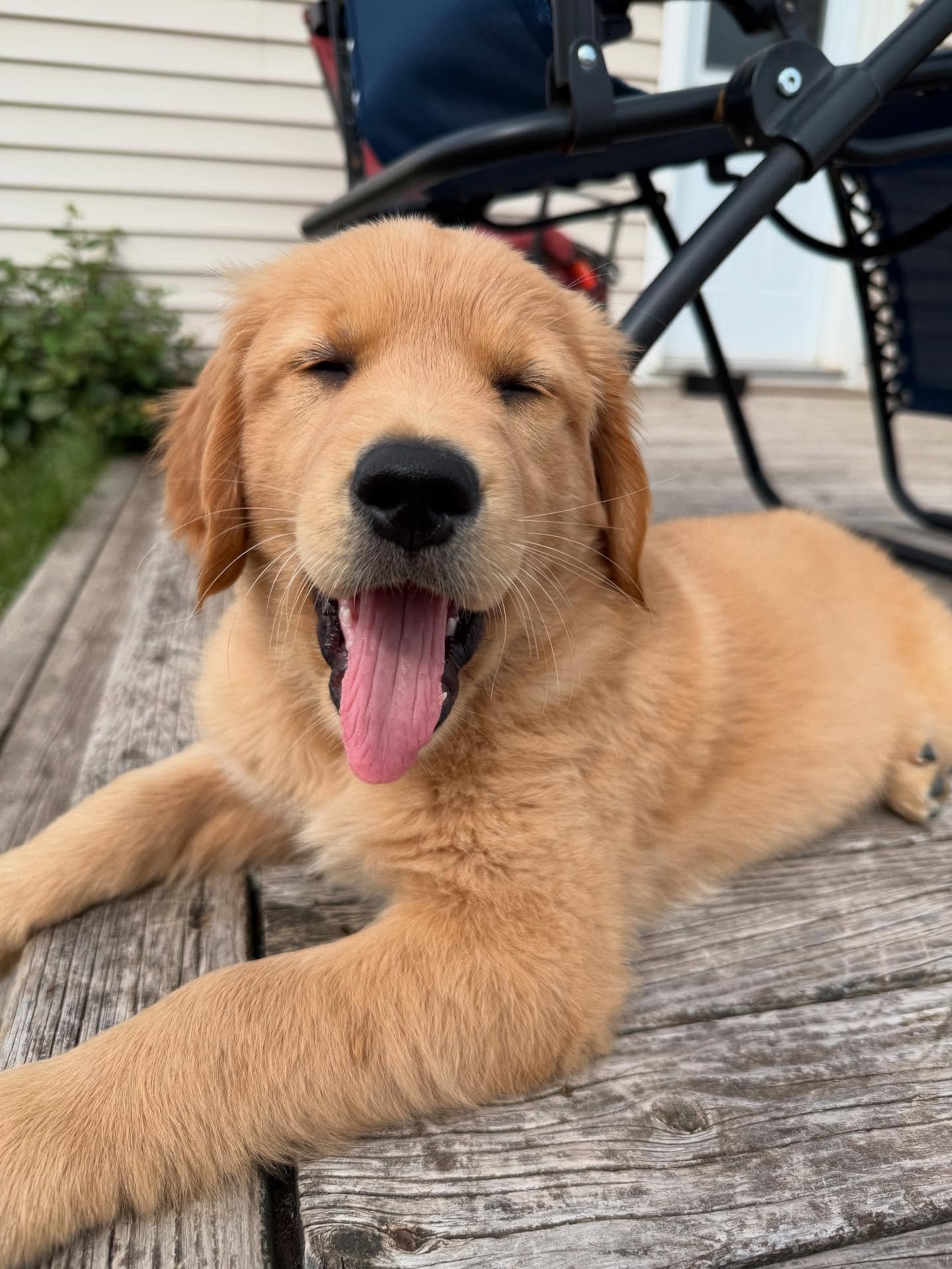 memswithchaseandsonny-20251004-0001