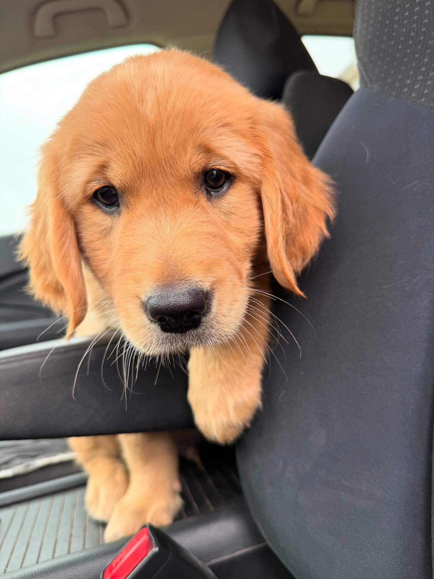 memswithchaseandsonny-20251004-0008