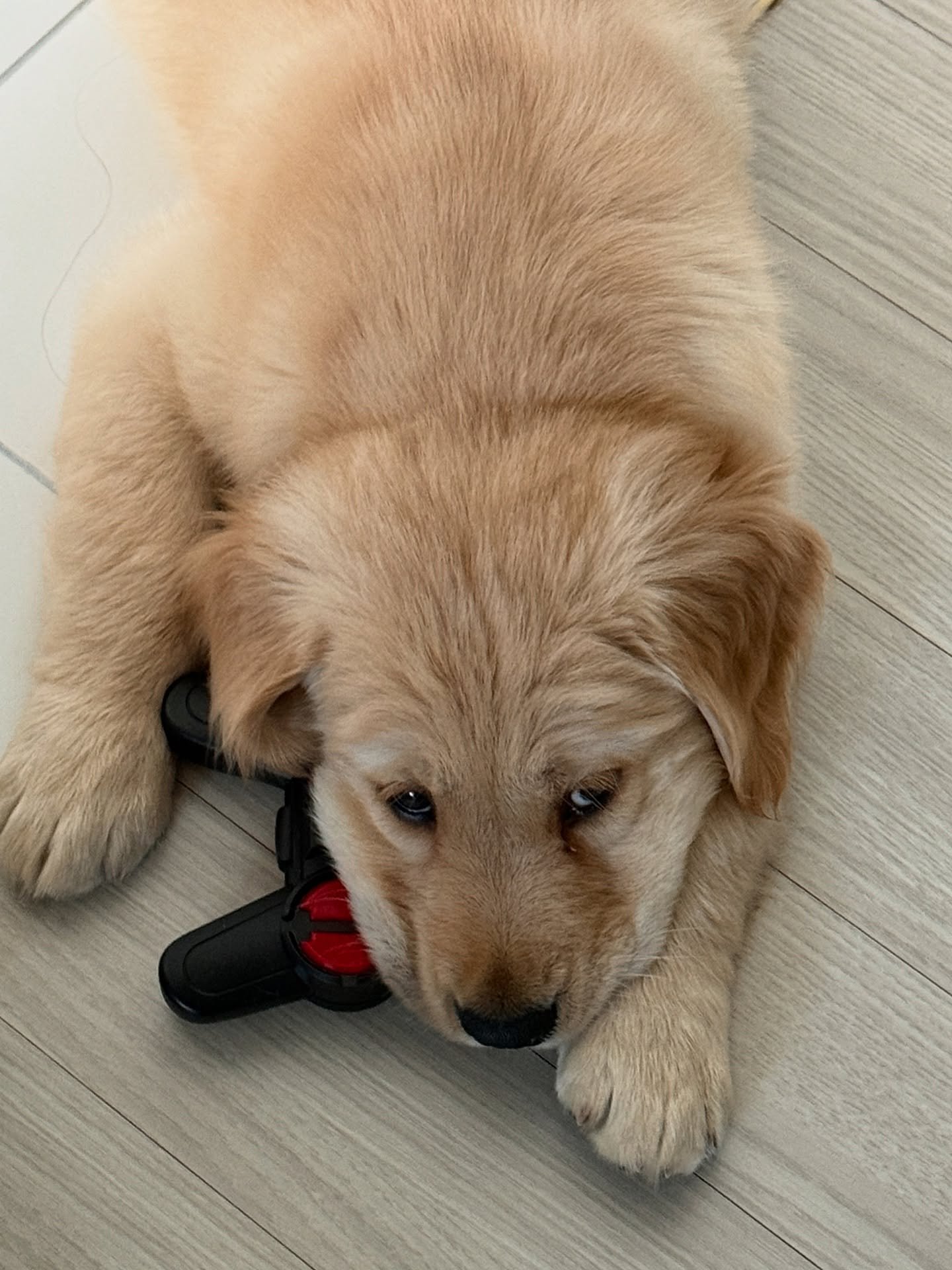 simbaaeyo-20250927-0005