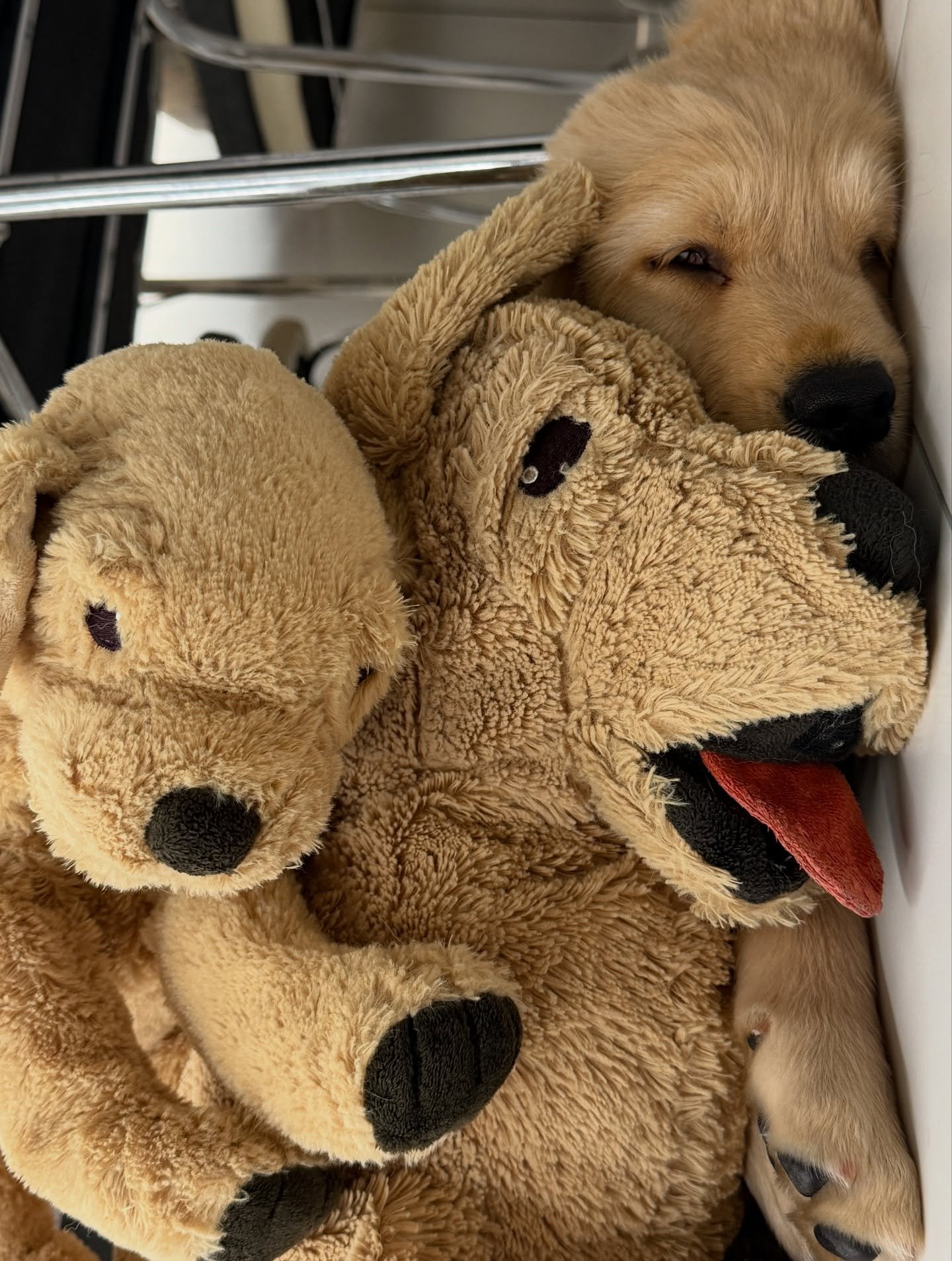 simbaaeyo-20250927-0018